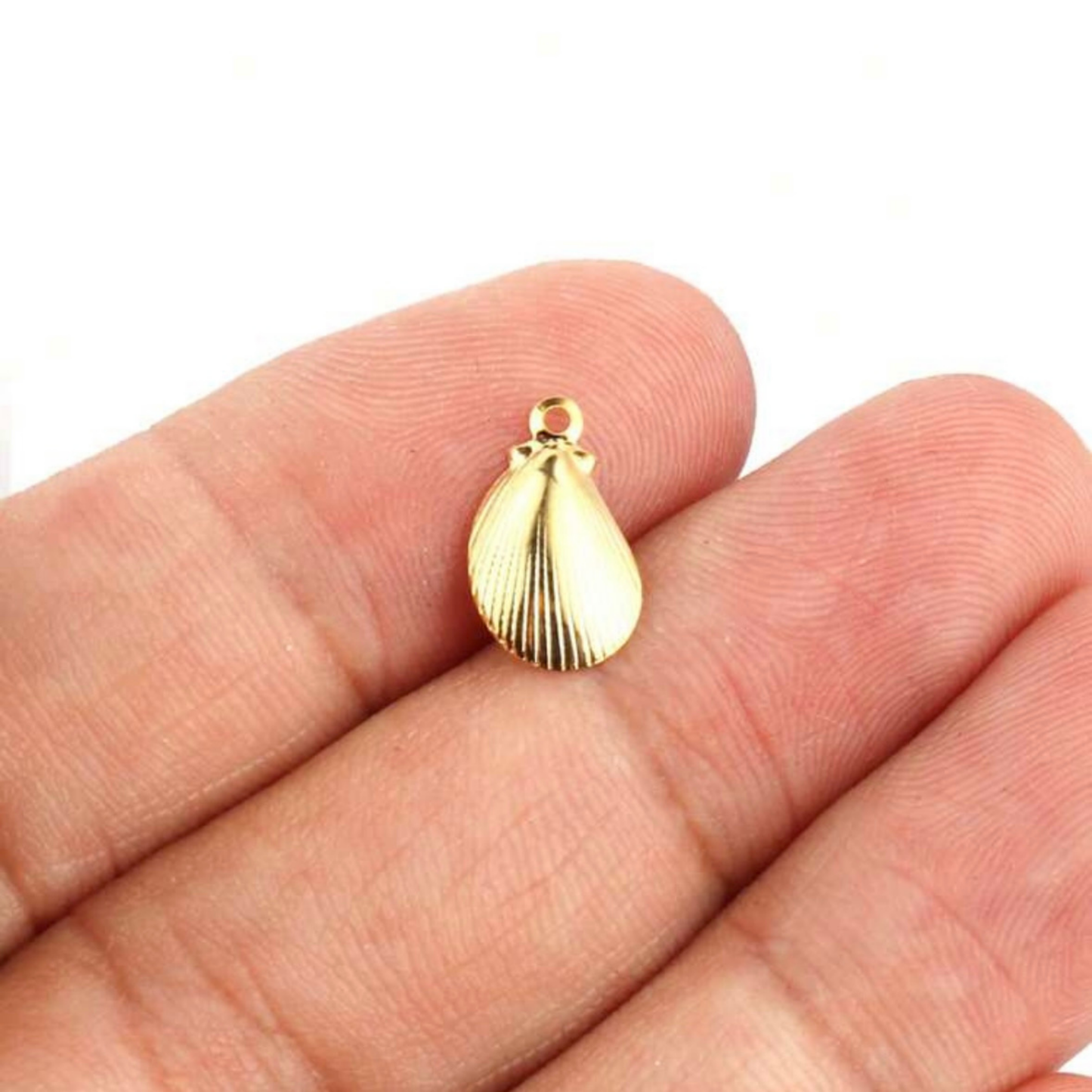Shell Charm